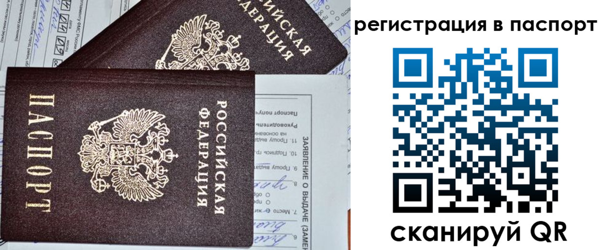 прописка законно в Дрезне